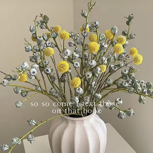 �ȼ������S����Շ����r���ɻ����������ڼҾ��b[�O��ϻ���ֱ