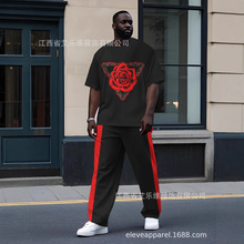 跨境男士圆领T恤长裤套装3D数码印花简约美国元素风格热卖运动套
