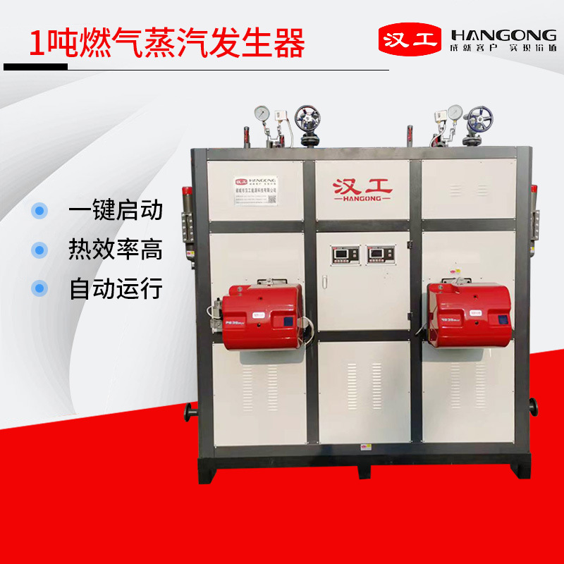 全自动燃气蒸汽发生器 蒸汽锅炉食品消毒 1T立式燃气蒸汽发生器