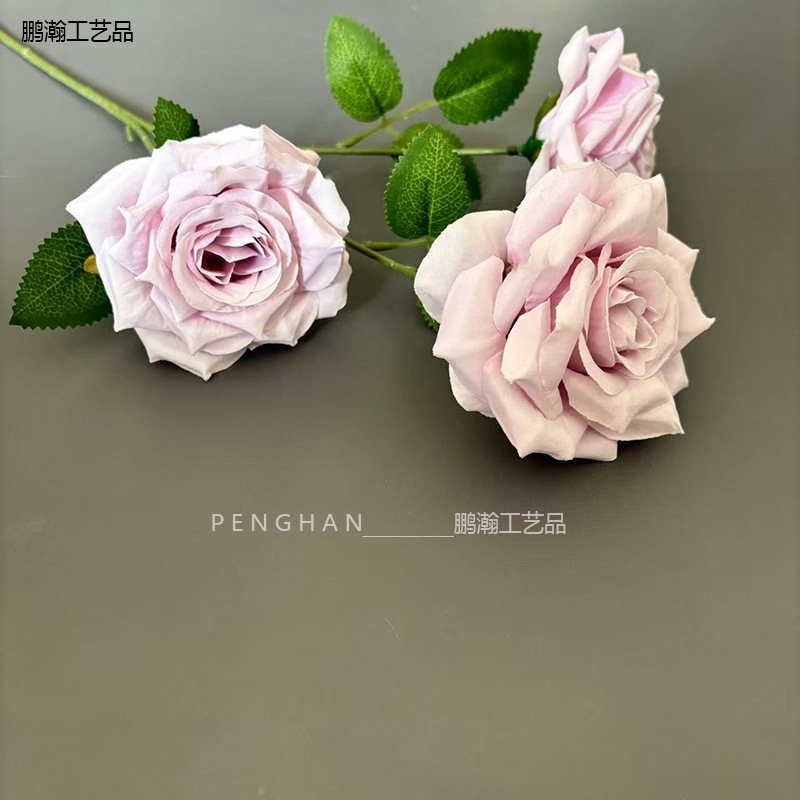 밝은 보라색