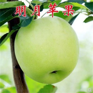 �t���O���玧�����������Ϸ������NֲͥԺ�̨�辰�t��ʿ�޷��O��