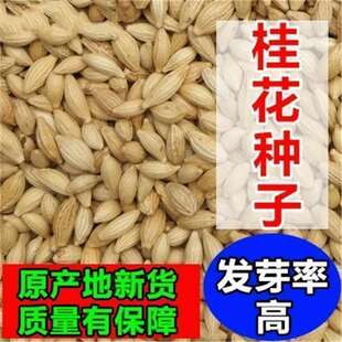 �²ɹ𻨷N���ļ����������¹𻨘�N�ӹ𻨷N���ļ��N���N��