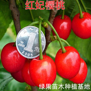 �t�������� �޽Ӵ������ ����� �Ї����������Ե����Ϸ������N