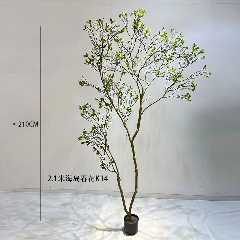 シミュレーション緑植物トップ 10 の功績島春の花クチナシの木植物造園ホーム屋内窓装飾木の装飾品|undefined