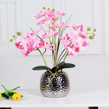 工厂批发蝴蝶兰仿真花套装客厅卧室室内假花摆件兰花盆景盆栽花艺