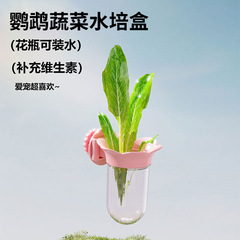 鹦鹉蔬菜水培瓶一物多用玄凤牡丹喂食器喂水器蔬菜豆苗保鲜罐花插
