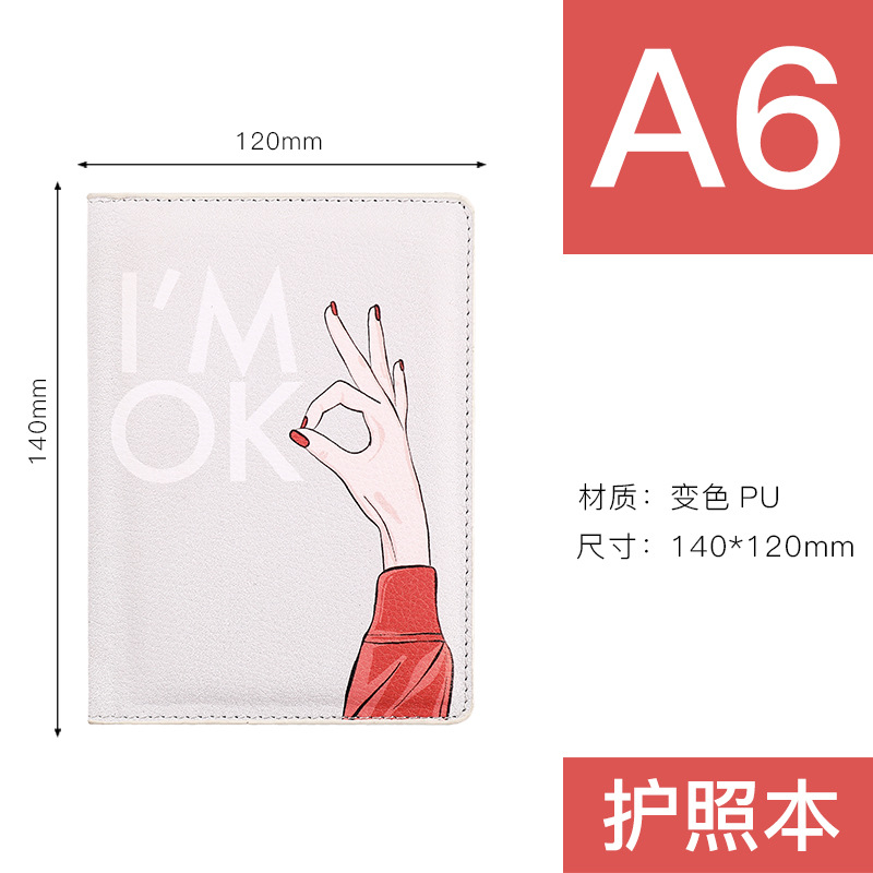 Passport Set Figure 4