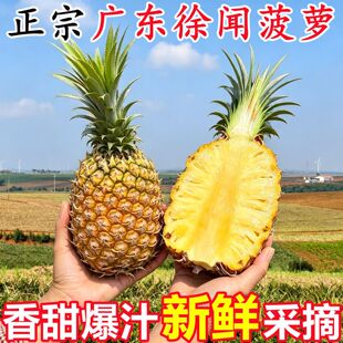 ���ڏV�|�����}���rˮ��10�������ˮ���}�Ꭷˮ�����P������