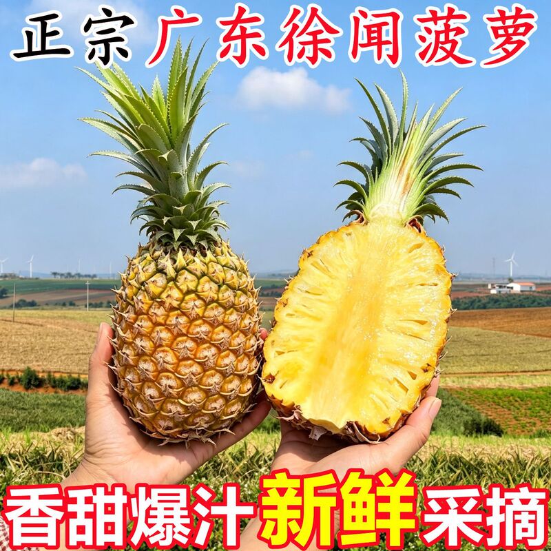 Authentic Guangdong Xuwen pineapple fresh fruit 5kg is in season, scented pineapple, tropical fruit, not pineapple, whole box Authentic Guangdong Xuwen pineapple fresh fruit 5kg is in season, scented pineapple, tropical fruit, not pineapple, whole box