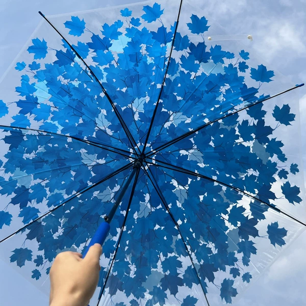 Maple leaf transparent umbrella*blue