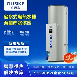 燃气锅炉;电热锅炉;燃气热水器