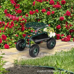 E�羳���N�Gɫ��܇�@ˇ�����Ύ�݆���{�����Α����ƺ�Nֲ��܇