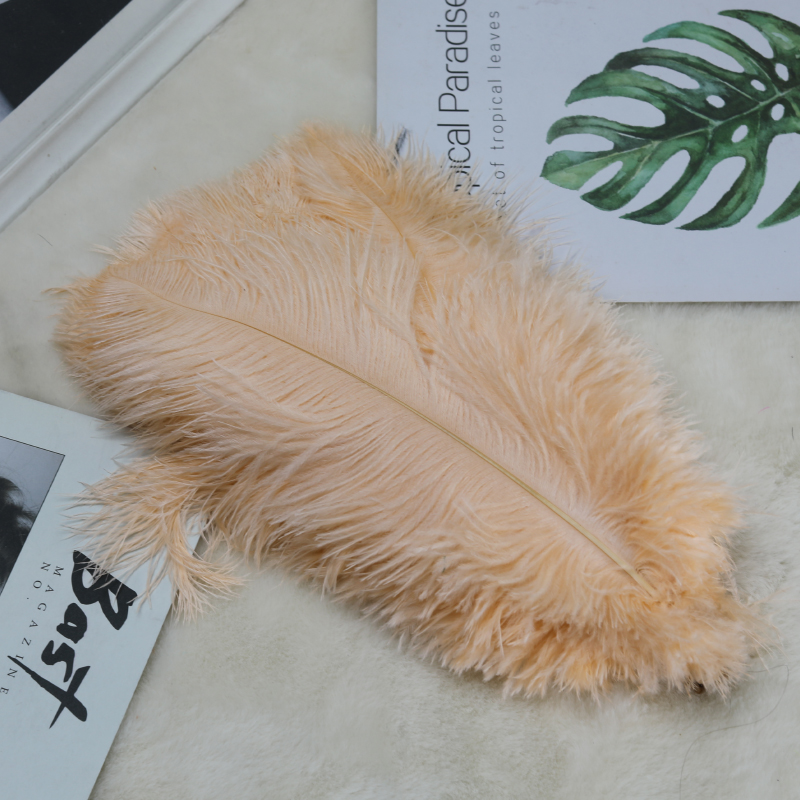 Plumas de avestruz bodas blancas de avestruz guía de plumas accesorios de fotos adornos rojo rosado en línea grandes plumas decoración