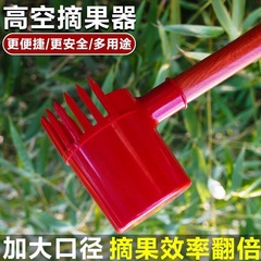 山ナツメを摘むための新しいプラスチック製の特別なツール、ナツメを摘むためのツール、ナツメを摘むためのツール、ヒノキの種子、ナツメを摘むためのツール