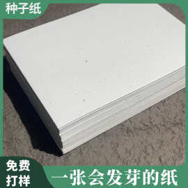 原材料种子纸定制浇水可发芽艺术纸环保卡片吊牌门票婚礼贺卡批发