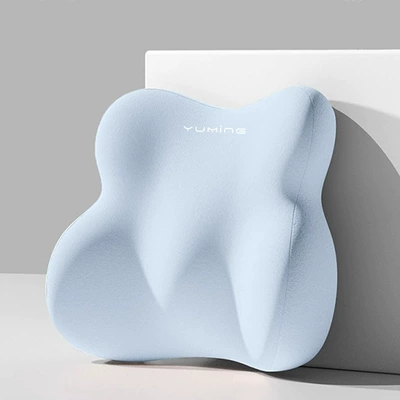 Waist and Neck Protection, Car Waist — Waist support - waist-support-blue