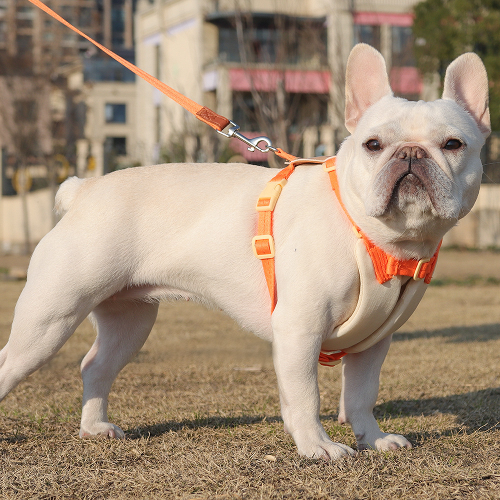 Cute Cartoon Dog Carrier Small Pet Leash for Teddy Corgi Bichon Frise Outdoor Nylon Seat Belt Casual Printing Style Summer Clearance Sale_voghion.com