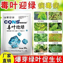 ���~ӭ�G���������������S�����t�������߲˻��~С�~���~�S�~
