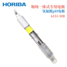 �ձ�HORIBAܥ��һ�wʽ���I늘O�����PH늘O6151-100B
