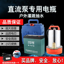 充电式直流潜水泵电瓶电动车浇菜水泵池家用抽水泵机12v24v4860伏