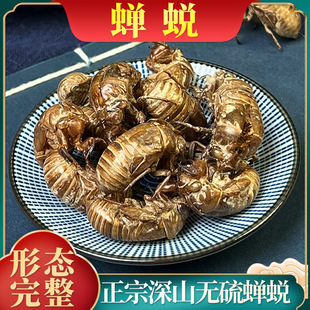 Ұ���sÓ��ș���s͑���s���s���sƤ�s���x��֪�˚�֪��Ƥ���s��