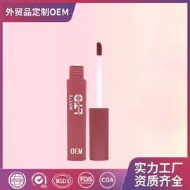 跨境热销子弹胶囊唇彩哑光雾面唇釉定制OEM防水不沾杯唇蜜代加工