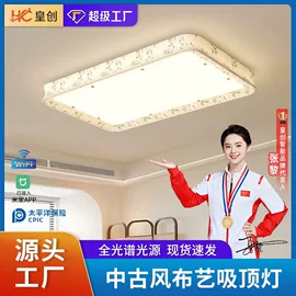 风扇灯;吸顶灯;智能家居