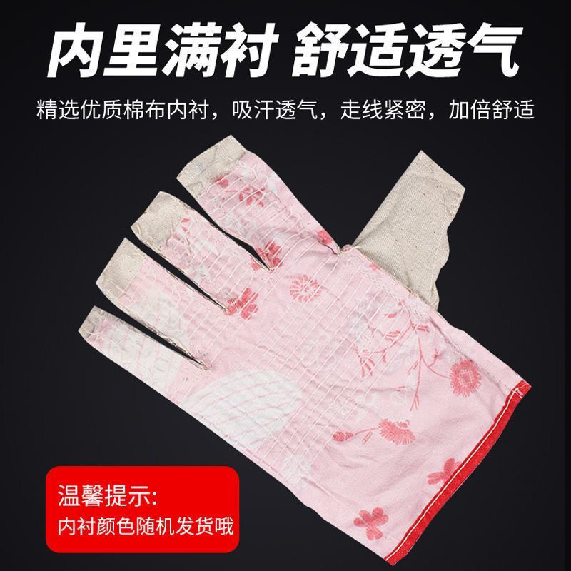 微信图片_20241229210444