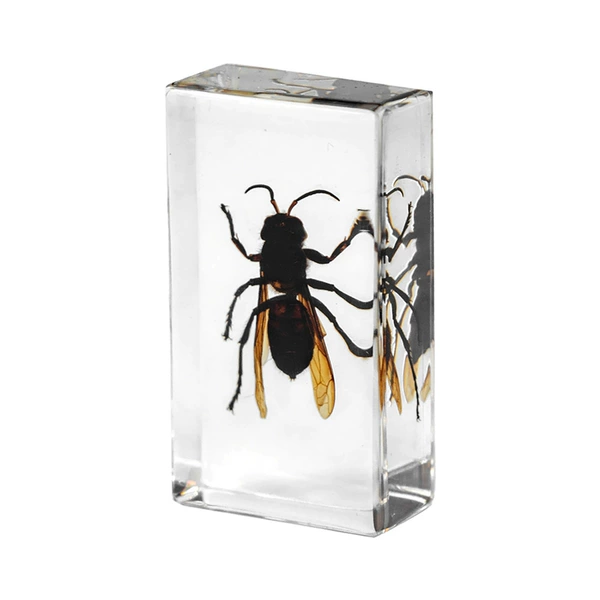 7.3CM Medium Wasp