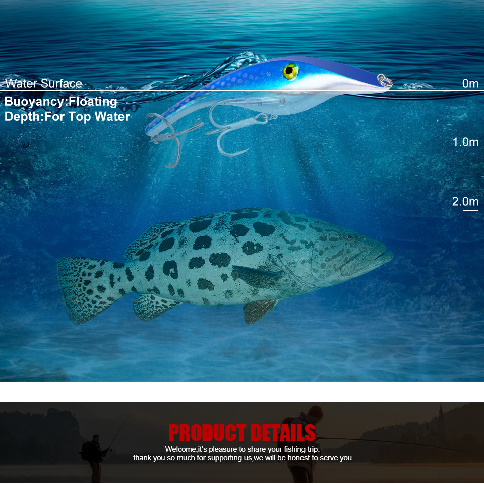 DW307-详情 (2).jpg