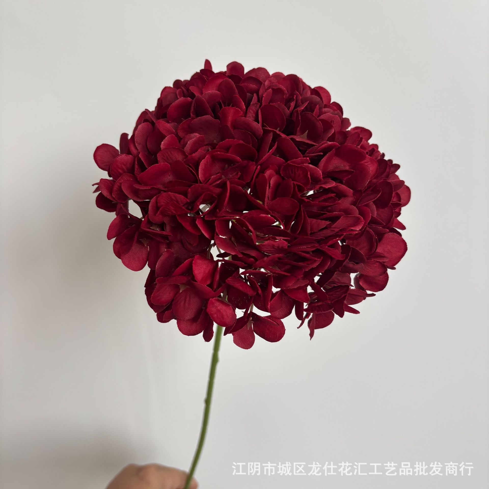 216개 만타 수국 다크 레드