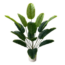 ����Gֲ�҃��辰�Ž��٘����˽����Ԙ�Gֲ�����B�b��쾰�����