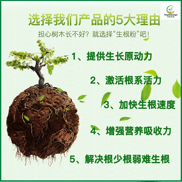 Powerful rooting powder Monthly succulent plants universal cuttings…
