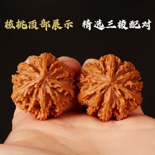 ������Ȼ�����������oƴ�����ڟ��\�����������ְѼ����S��.