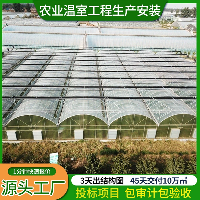 Каркас теплицы из стальных труб для сельскохозяйственного выращивания и разведения, полный комплект, индивидуальный простой многопролетный пленочный каркас теплицы