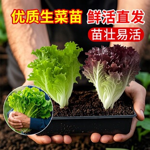 �������������玧��������_�Rˮ�ஔ���߮a�̨�Nֲ�߲�ֲ������