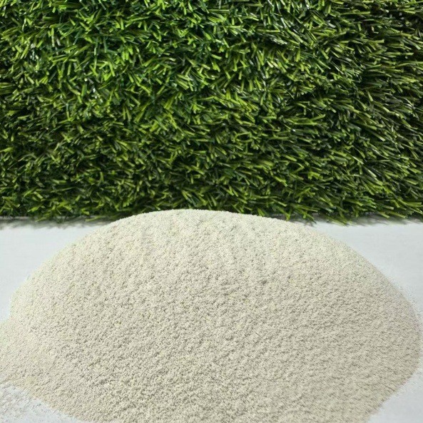 2025-05-05 11:50:31.jpg