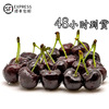 Shunfeng Net weight 4 Orthodox school Sichuan Province Black Pearl Bagging Cherry Cherry Cold Chain Orchard Trade price