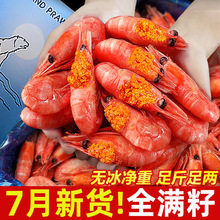 ���O���r���O�ܱ��O�r�����^�Ѹ����ش�̖���r���r�����ʳ��Ş��