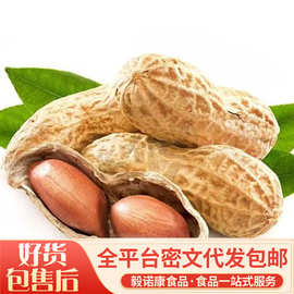 代发 花生蒜香五香花生新货炒熟带壳大颗粒即食下酒滋补零食年货