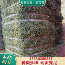 零售美国优级小捆苜蓿草50kg 牛羊马动物园宠物牧草新到港现货