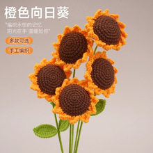 ���տ����滨�ֹ��h����ͥ�bY���12�����ᘿ����տ�