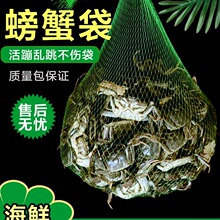 �з�W��5��10���b���lз����W������W���򺣴�ĵϠ���ľW��