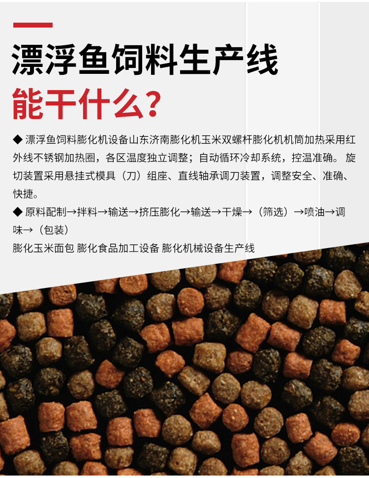 漂浮鱼饲料生产线10_06