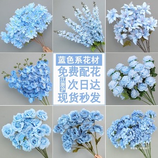 �{ɫ��������c���Ľ�����Yõ�廨�b��廨����ٻ����ϻ�����