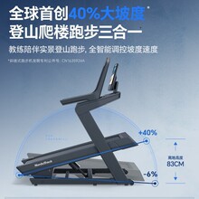 �ۿ���iFIT��������ɽ���ܲ��C�߶˼��ý������pNordictrack X24