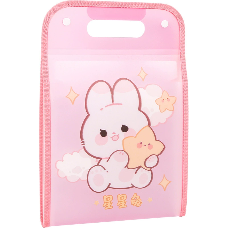 Handheld organ, cartoon multilayer card holder, capacious organizer bag, folder, classification