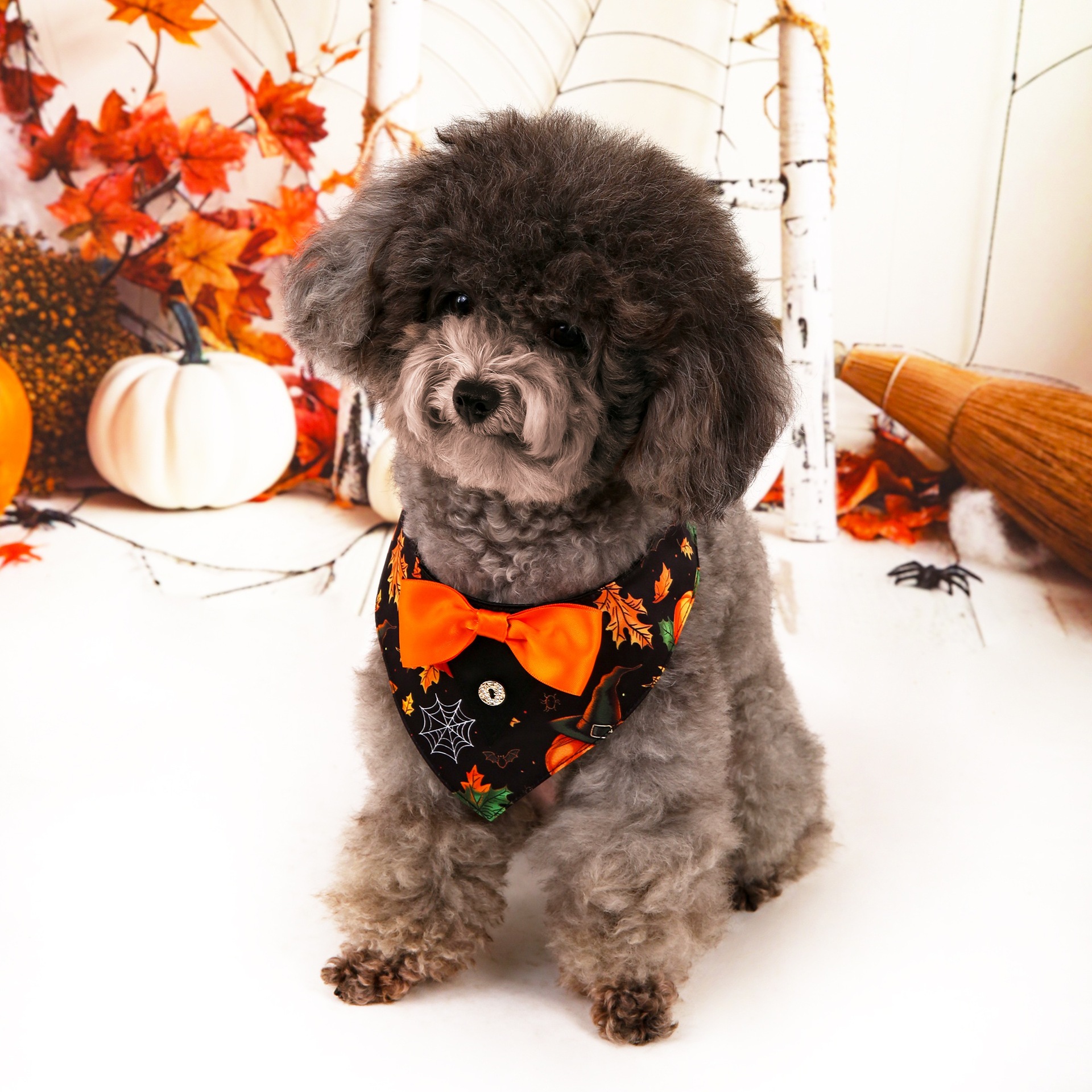 Halloween nuevo traje de mascotas toallas triangulares toallas de saliva collar de mascotas fábrica de ropa de perro en stock