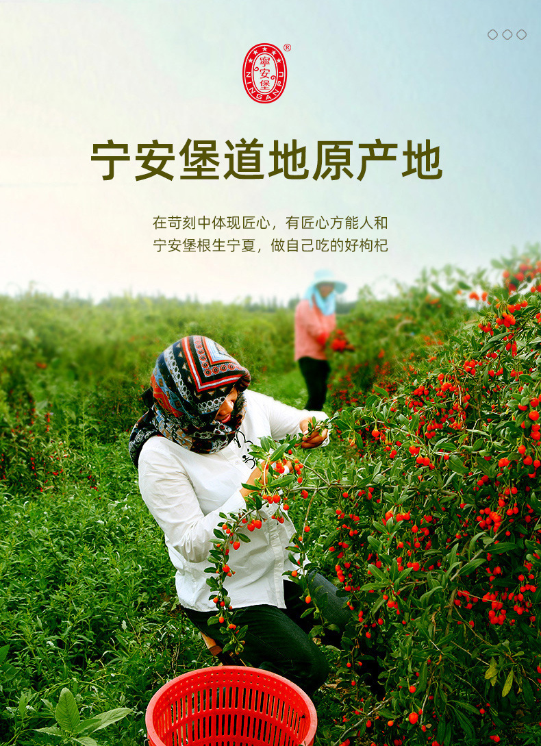 Ningxia Goji Berries Premium Ready to Eat Dried Wolfberry 250g Individual Packets in use