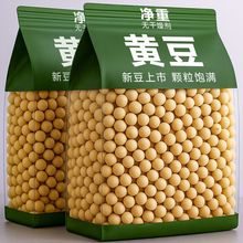 2025年新鲜黄豆5斤散装批发价发豆芽黄豆打豆浆专用250g一件 批发